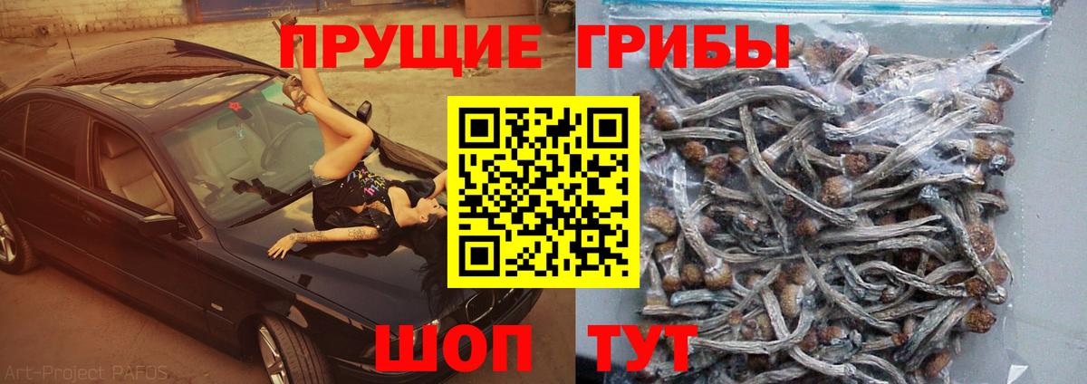 Cocaine  ГЕРОИН  APVP СК   Клинцы  Мефедрон   Codein  АМФЕТАМИН   Каннабис  ГАШИШ 