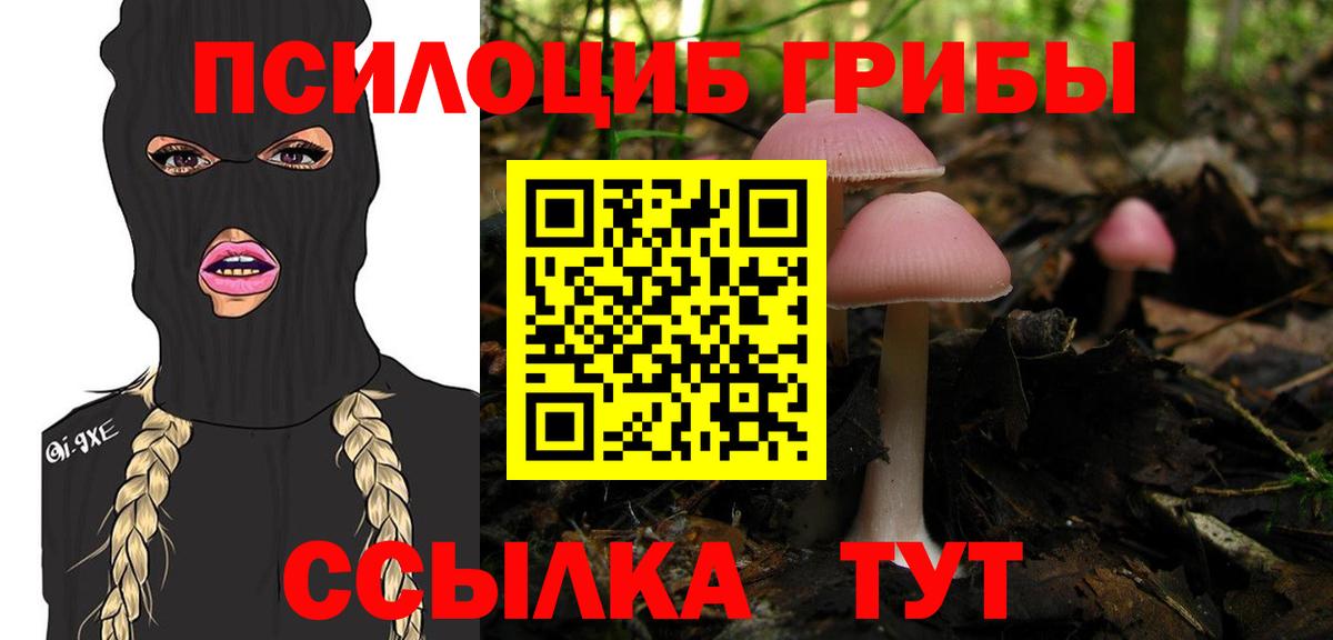 Псилоцибиновые грибы MAGIC MUSHROOMS Клинцы